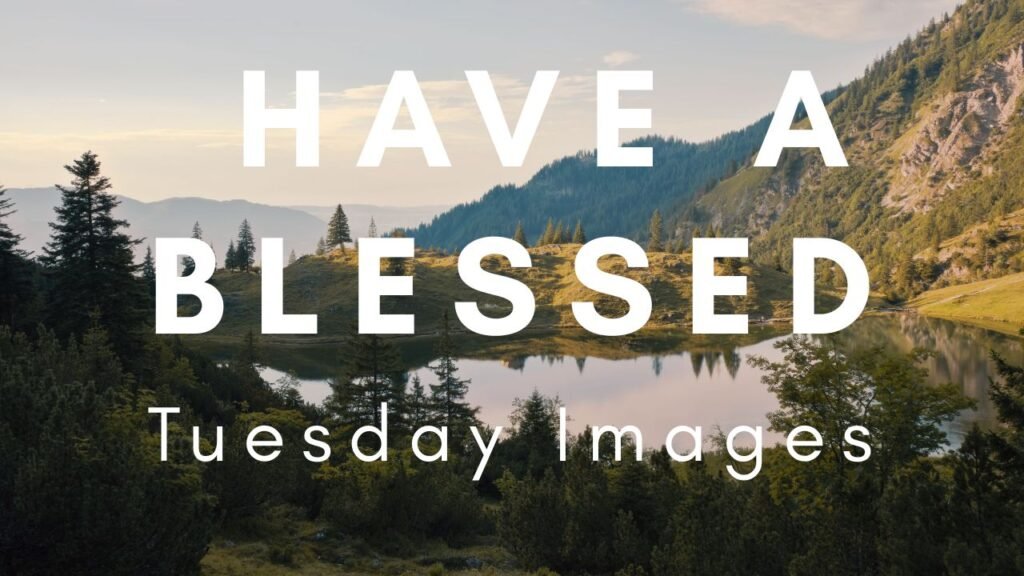 tuesday blessings 5