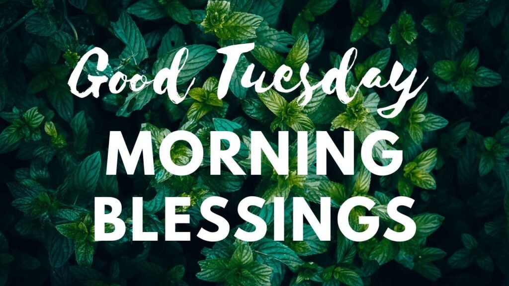 tuesday blessings 6